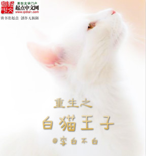 白猫王妃小说