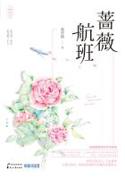 蔷薇航班小说免费阅读